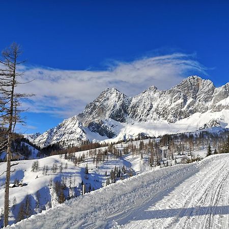 Brandhof - Chalet Am Berg Ramsau am Dachstein Exteriér fotografie